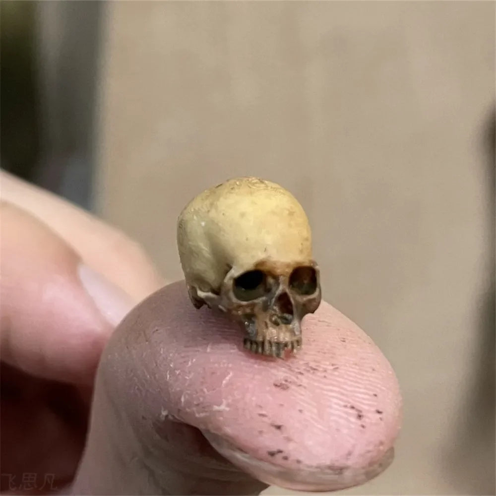 Miniature Skull Decor for Dollhouse & Halloween Scenes