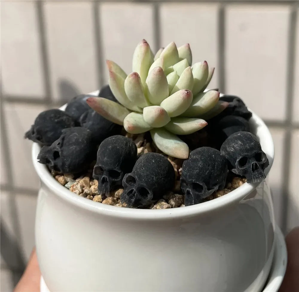 Miniature Skull Decor for Dollhouse & Halloween Scenes