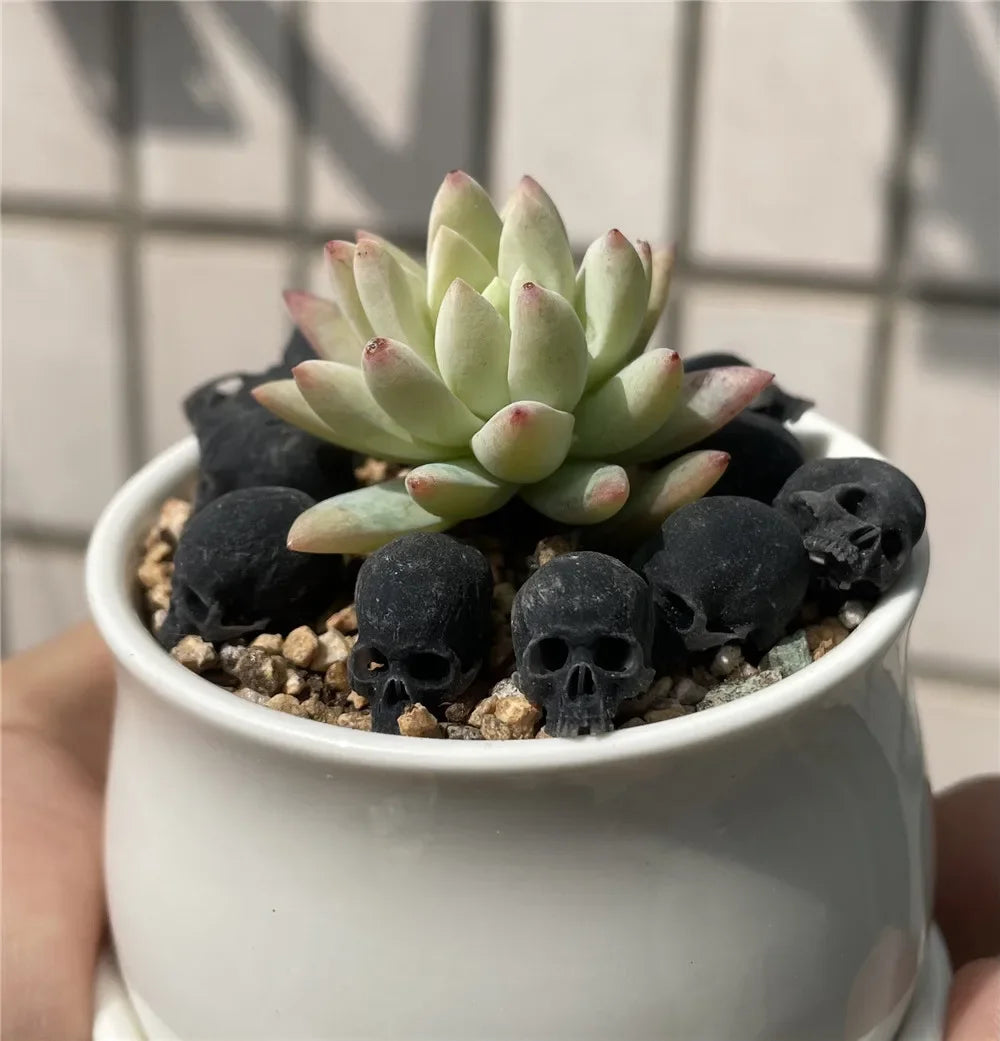 Miniature Skull Decor for Dollhouse & Halloween Scenes