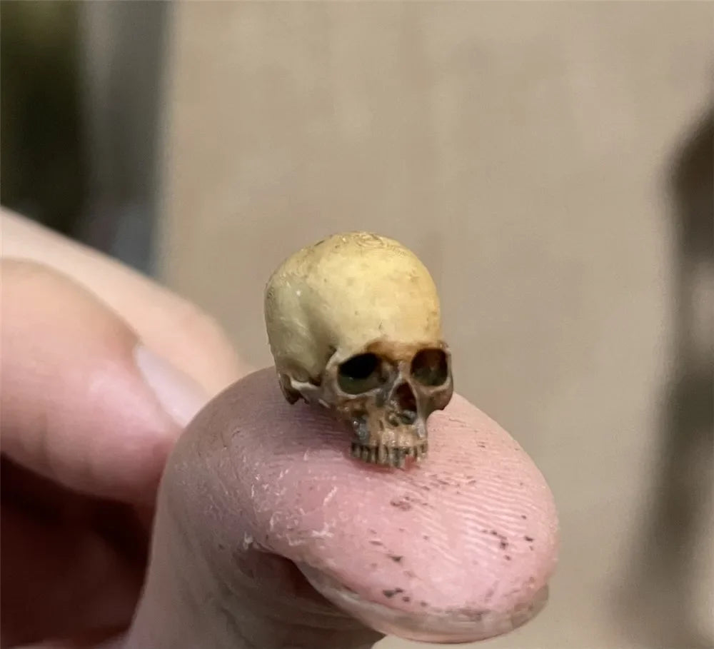 Miniature Skull Decor for Dollhouse & Halloween Scenes
