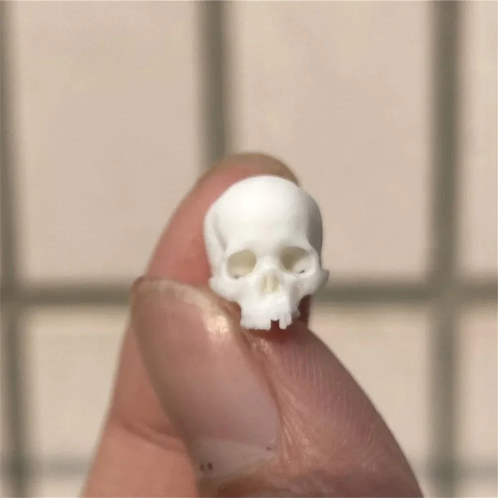 Miniature Skull Decor for Dollhouse & Halloween Scenes 3