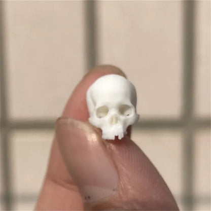 Miniature Skull Decor for Dollhouse & Halloween Scenes 3