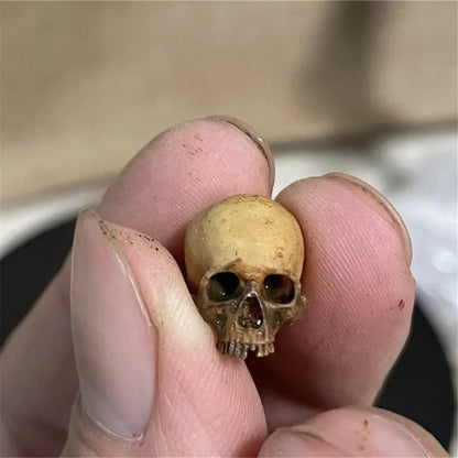 Miniature Skull Decor for Dollhouse & Halloween Scenes 1