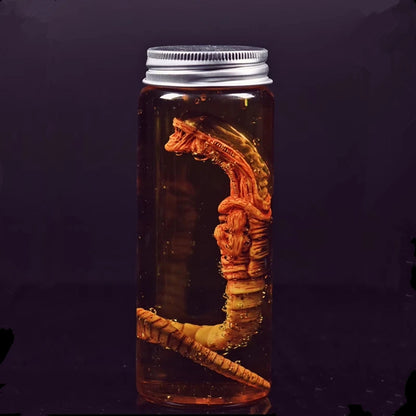 Alien Xenomorph Facehugger Specimen Jar – Movie Prop Replica