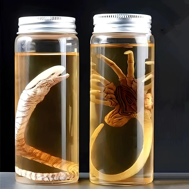 Alien Xenomorph Facehugger Specimen Jar – Movie Prop Replica