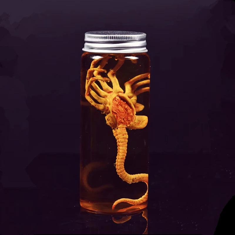 Alien Xenomorph Facehugger Specimen Jar – Movie Prop Replica