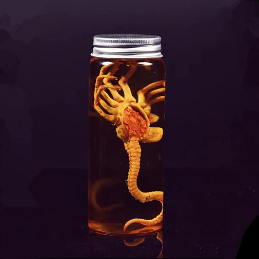 Alien Xenomorph Facehugger Specimen Jar – Movie Prop Replica
