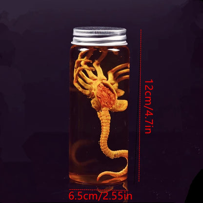 Alien Xenomorph Facehugger Specimen Jar – Movie Prop Replica