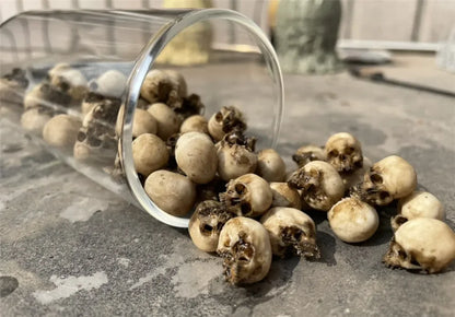 Miniature Skull Decor for Dollhouse & Halloween Scenes