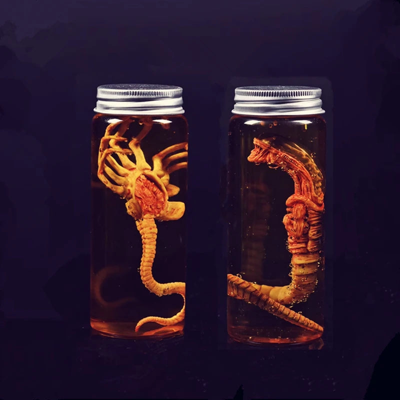 Alien Xenomorph Facehugger Specimen Jar – Movie Prop Replica