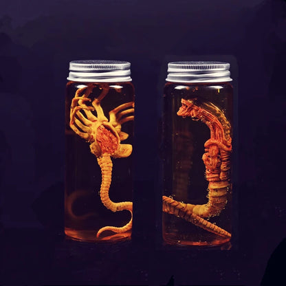Alien Xenomorph Facehugger Specimen Jar – Movie Prop Replica